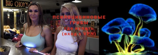 apvp Белокуриха