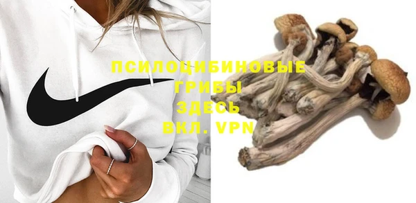 PSILOCYBIN Беломорск