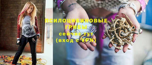 PSILOCYBIN Беломорск
