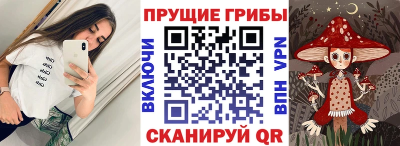 OMG ссылка Кунгур Псилоцибиновые грибы мицелий